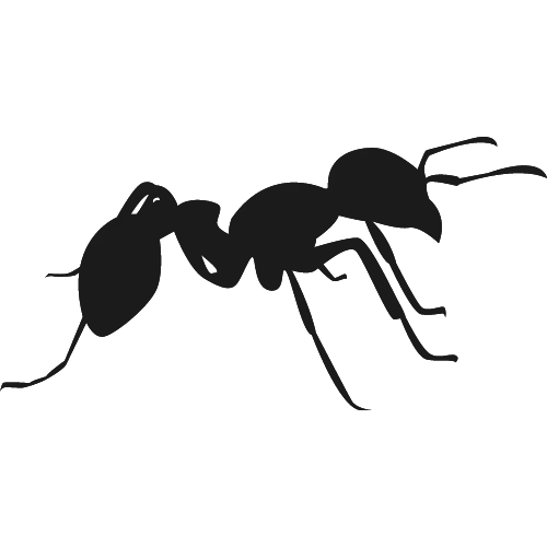 élimination fourmis angers icone